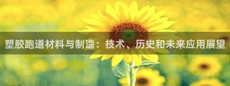 红足一1世开奖记录：塑胶跑道材料与制造：技术、历史和未来应用展望