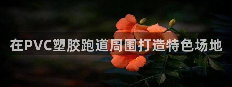 77814红足1世:在PVC塑胶跑道周围打造特色场地