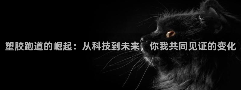 红足一:塑胶跑道的崛起:从科技到未来,你我共同见证的变化