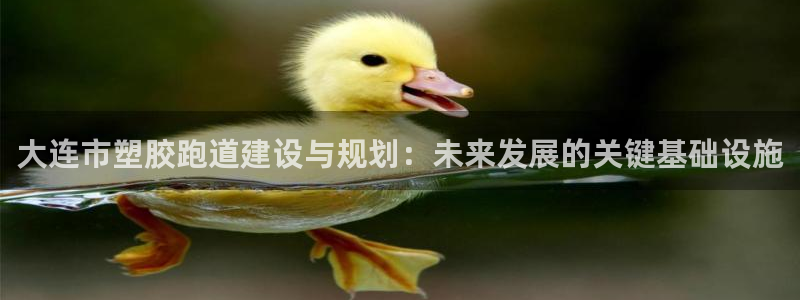 新2足球平台出租网站:大连市塑胶跑道建设与规划:未来发展的关键基础设施