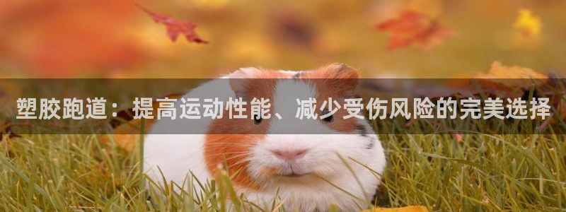 红世一足球比分:塑胶跑道:提高运动性能、减少受伤风险的完美选择