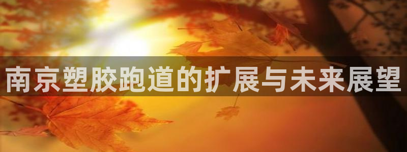 红足一1世皇冠:南京塑胶跑道的扩展与未来展望
