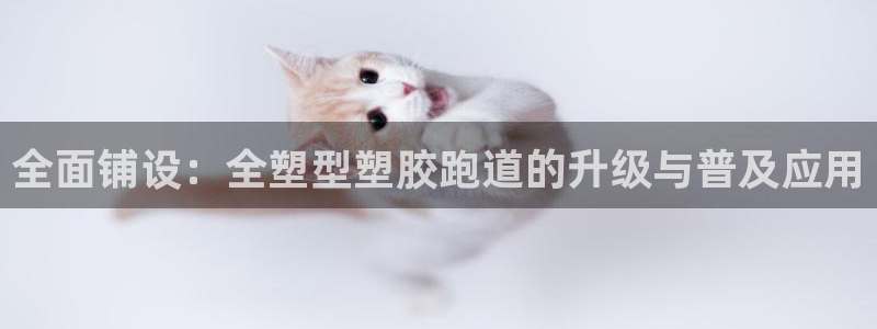 百度红足一1使用说明:全面铺设:全塑型塑胶跑道的升级与普及应用