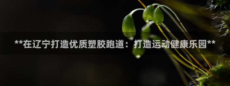 红足一1世手机版新皇冠:**在辽宁打造优质塑胶跑道:打造运动健康乐园**