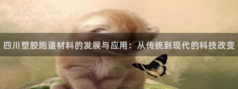 红足足球网:四川塑胶跑道材料的发展与应用:从传统到现代的科技改变