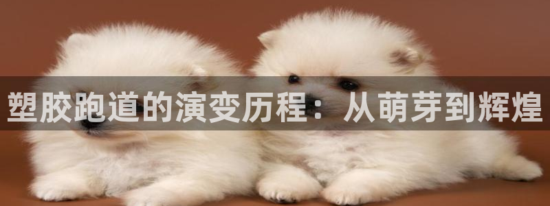 红足一1世手机版赛果:塑胶跑道的演变历程:从萌芽到辉煌