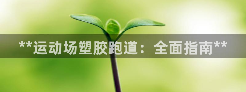 红足一一世:**运动场塑胶跑道:全面指南**