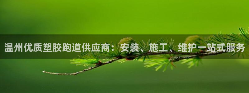 4633333开奖结果4176一点红:温州优质塑胶跑道供应商:安装、施工、维护一站式服务