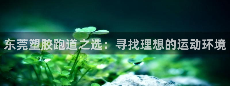 红足一1世77814:东莞塑胶跑道之选:寻找理想的运动环境