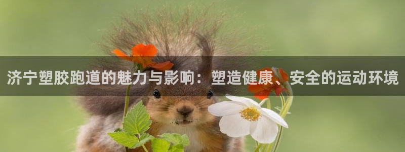 红足一1世77814:济宁塑胶跑道的魅力与影响:塑造健康、安全的运动环境
