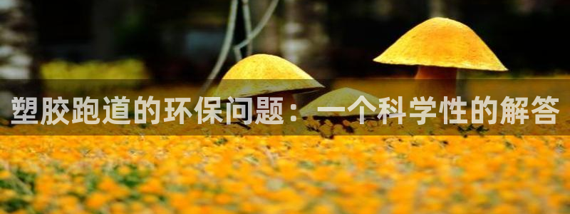 红足网足球直播