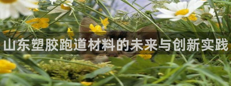 红足i世足球手机网