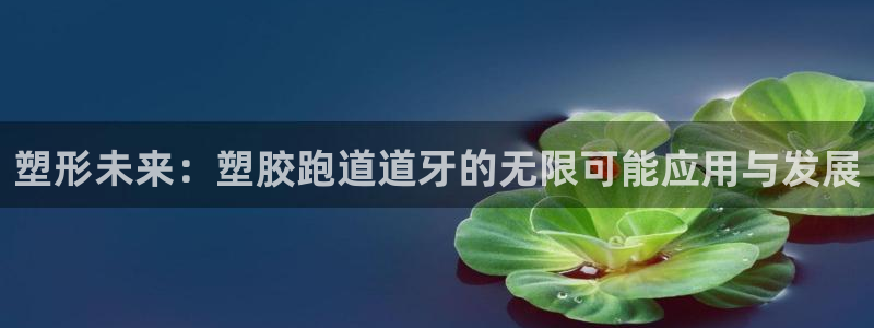 红足一1世比分球探