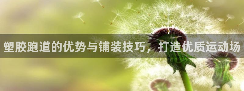 红足 世足球手机网