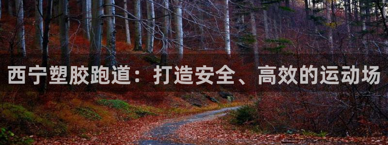 百度红足一1是干什么的