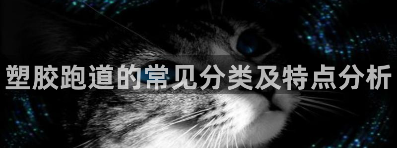 红足1世足球比分：塑胶跑道的常见分类及特点分析