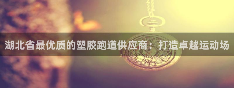 百度红足一1是干什么的:湖北省最优质的塑胶跑道供应商:打造卓越运动场