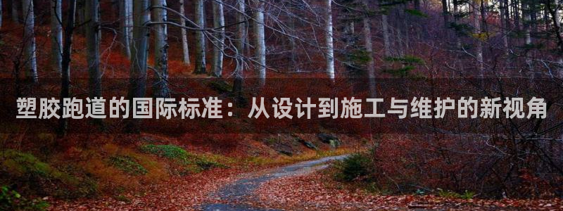 红足1世足球网址大全:塑胶跑道的国际标准:从设计到施工与维护的新视角