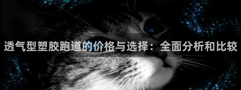 百度红足一1世:透气型塑胶跑道的价格与选择:全面分析和比较