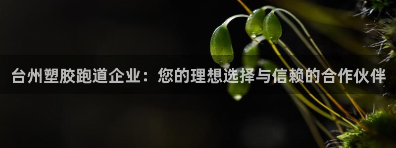 红足足球网:台州塑胶跑道企业:您的理想选择与信赖的合作伙伴