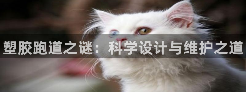 百度红足一1世：塑胶跑道之谜：科学设计与维护之道