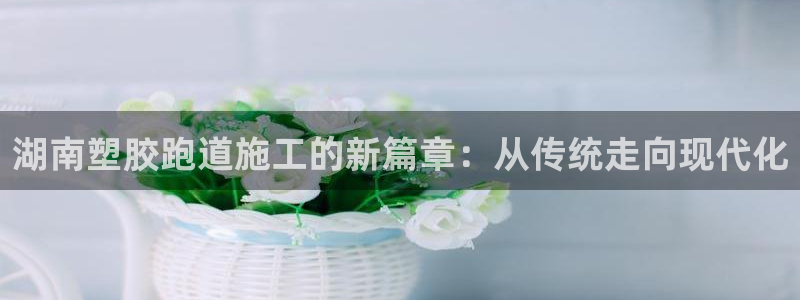 红足一1世皇冠：湖南塑胶跑道施工的新篇章：从传统走向现代化