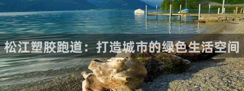 55814红足1世:松江塑胶跑道:打造城市的绿色生活空间