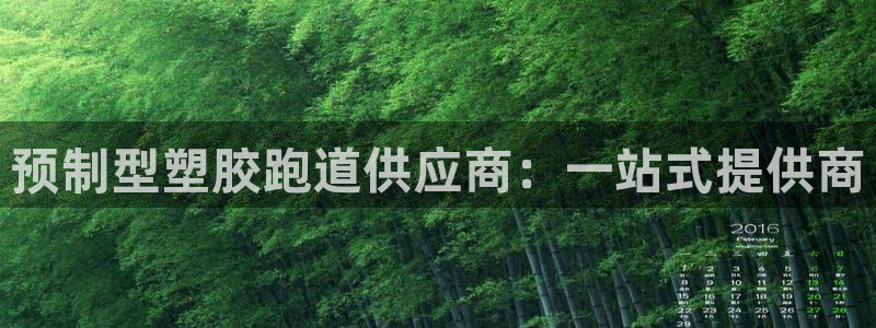 333814红足1世:预制型塑胶跑道供应商:一站式提供商