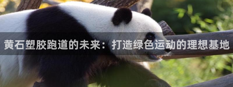 红足一:黄石塑胶跑道的未来:打造绿色运动的理想基地