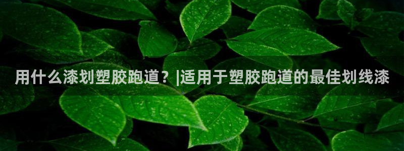 红姐现场直播开奖记录：用什么漆划塑胶跑道？|适用于塑胶跑道的最佳划线漆