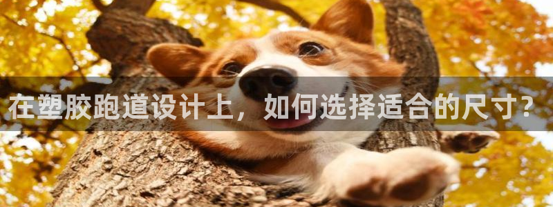 红足一1世手机版赛果:在塑胶跑道设计上,如何选择适合的尺寸?