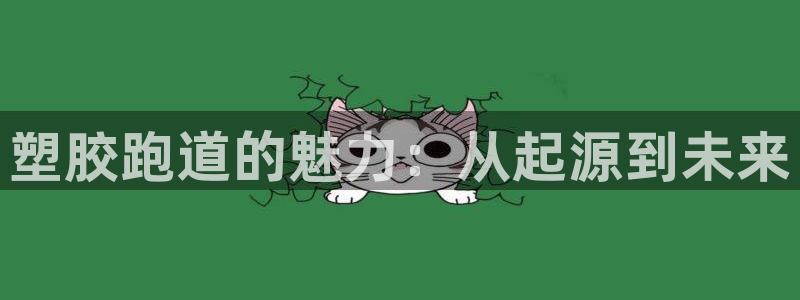 红足1世足球比分：塑胶跑道的魅力：从起源到未来