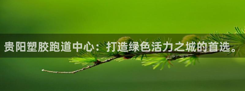 红足一：贵阳塑胶跑道中心：打造绿色活力之城的首选。