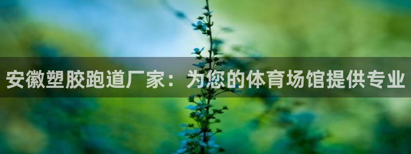 红足一1世：安徽塑胶跑道厂家：为您的体育场馆提供专业