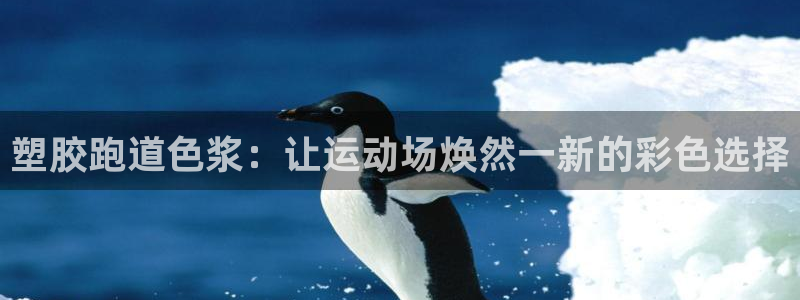 百度红足一1使用说明:塑胶跑道色浆:让运动场焕然一新的彩色选择