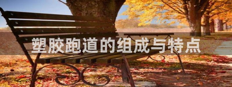 44814红足：塑胶跑道的组成与特点