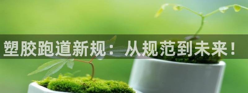 4633333开奖结果4176一点红：塑胶跑道新规：从规范到未来！