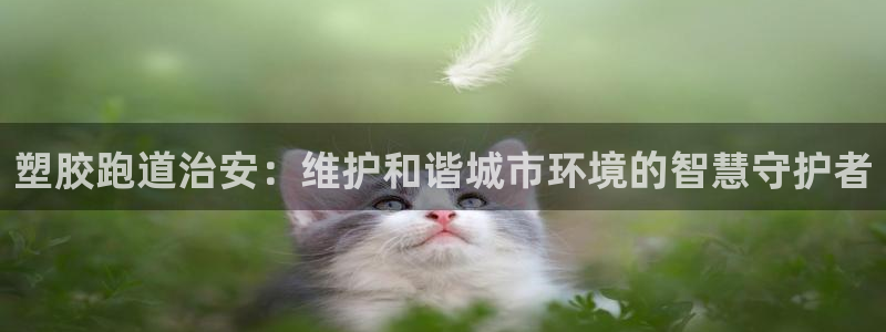 红足一1世即时比分：塑胶跑道治安：维护和谐城市环境的智慧守护者