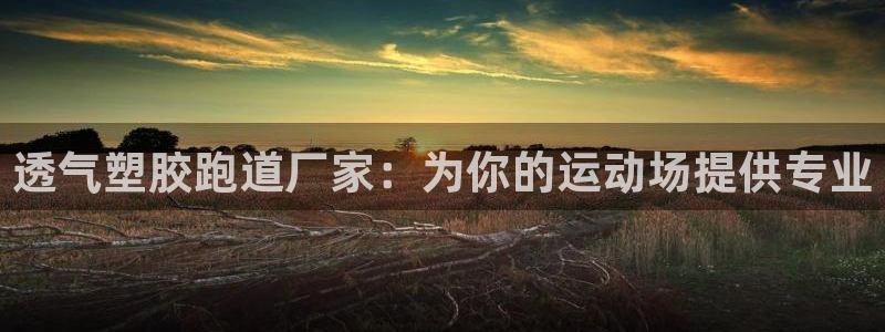 百度红足一1使用说明：透气塑胶跑道厂家：为你的运动场提供专业