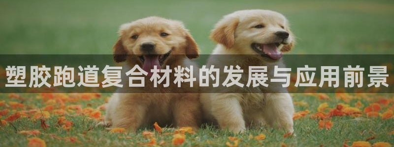 红足一1世平台：塑胶跑道复合材料的发展与应用前景