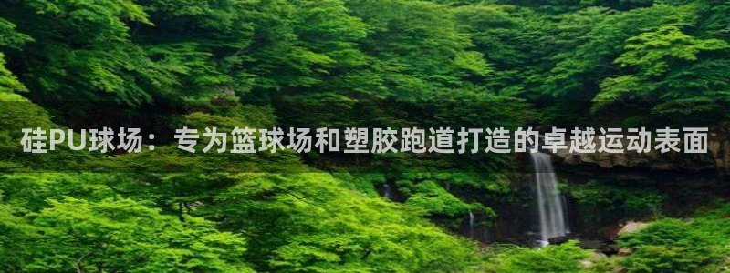 4633333开奖结果4176一点红：硅PU球场：专为篮球场和塑胶跑道打造的卓越运动表面
