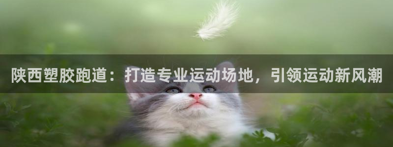 红足一1世666814足球比分网：陕西塑胶跑道：打造专业运动场地，引领运动新风潮