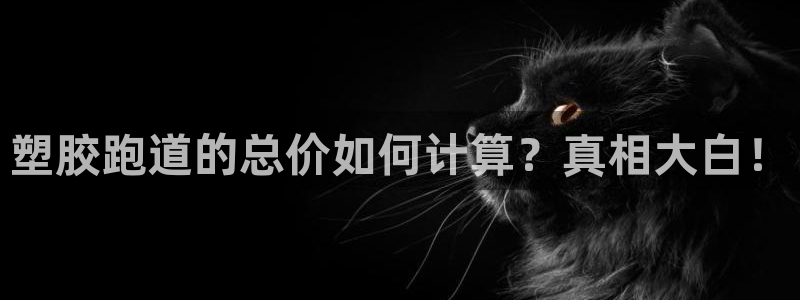 333814红足1世：塑胶跑道的总价如何计算？真相大白！